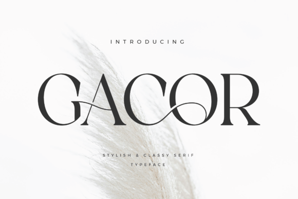 Gacor Font: A Stylish Serif Typeface for Creative Makers