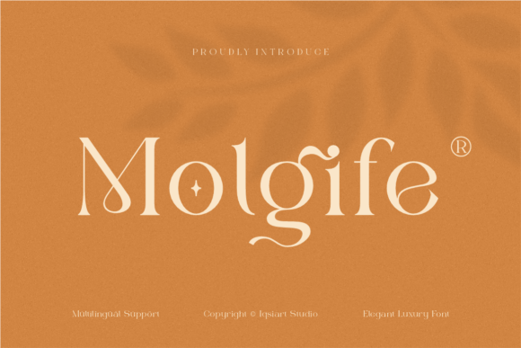 Molgife Font: A Professional Serif Typeface for Your Brand