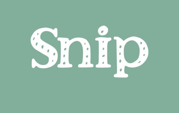 Snip Font: A Handwritten Serif Typeface for Digital Design