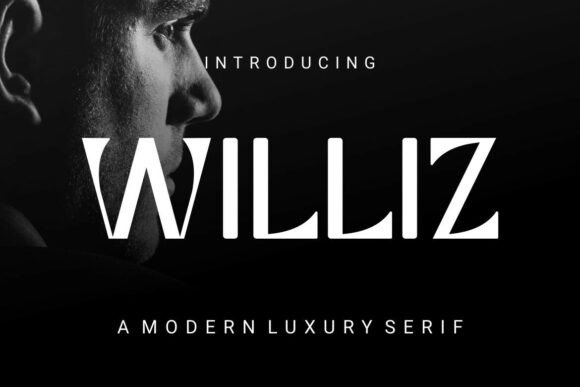 Williz: A Luxury Typeface for a Professional Brand